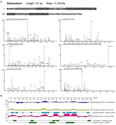 A Combined Proteomic and Metabolomic Strategy for Allergens Characterization in Natural and Fermented Brassica napus <mark class="highlighted">Bee Pollen</mark>